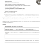 Virtual Owl Pellet Dissection With Regard To Owl Pellet Dissection Worksheet