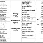 Vocabulary  Year 7 Spanish For Spanish For Beginners Worksheets