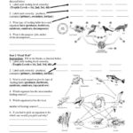 Water Carbon And Nitrogen Cycle Worksheet Color Sheet  Briefencounters For Nitrogen Cycle Worksheet