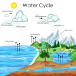 Water Cycle Blank – Jamesdoddclub Throughout Fill In The Blank Water Cycle Diagram Worksheet