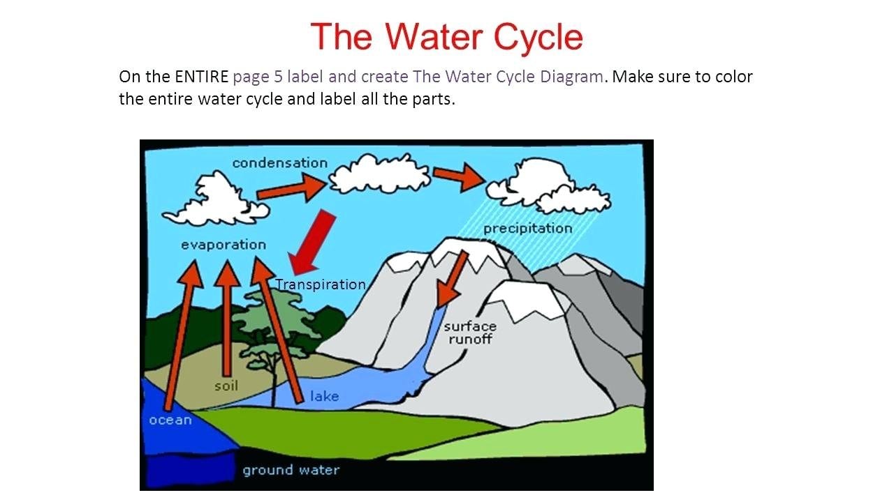 Water Cycle Diagram Worksheet Answers  Wiring Diagram Center Also Fill In The Blank Water Cycle Diagram Worksheet