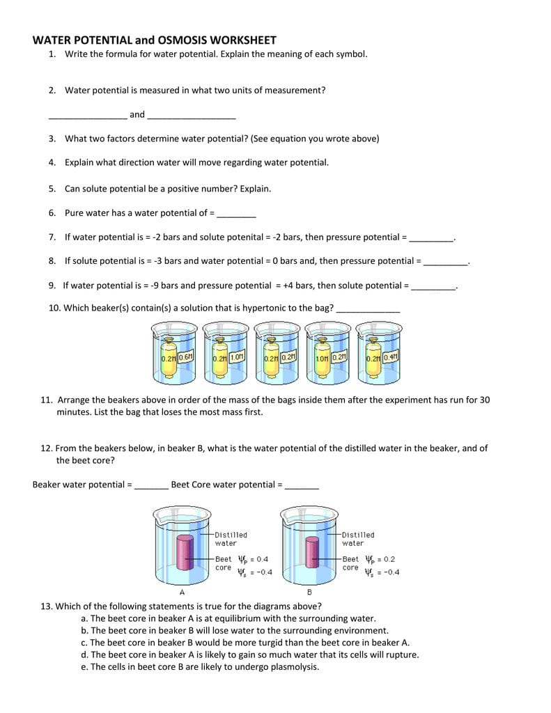 Water Potential And Osmosis Worksheet Intended For Water Potential And Osmosis Worksheet Answers
