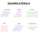 What Are The Types Of Quadrilaterals Within Area Of Quadrilaterals Worksheet