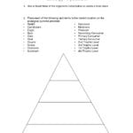 Wolves In Yellowstone Student Worksheet Answers  Briefencounters Also Wolves In Yellowstone Student Worksheet Answers