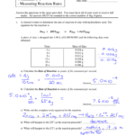Worksheet 11  Measuring Reaction Rates And Rates Of Reaction Worksheet
