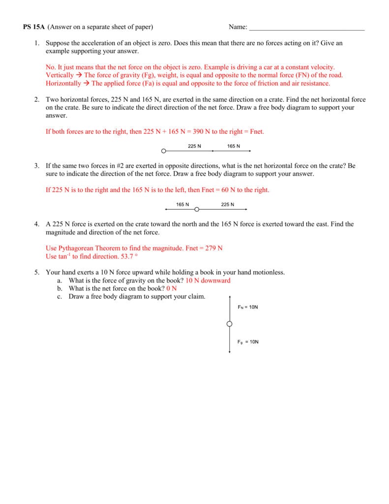 Worksheet 13 Key And Net Force Worksheet Answer Key