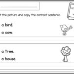 Worksheet 5Th Grade Division Common Phrases Ms Office Excel Dr As Well As Kindergarten Writing Worksheets Pdf