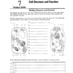 Worksheet Cell Worksheets The Structure Plasma Membrane Legal As Well As High School Biology Worksheets