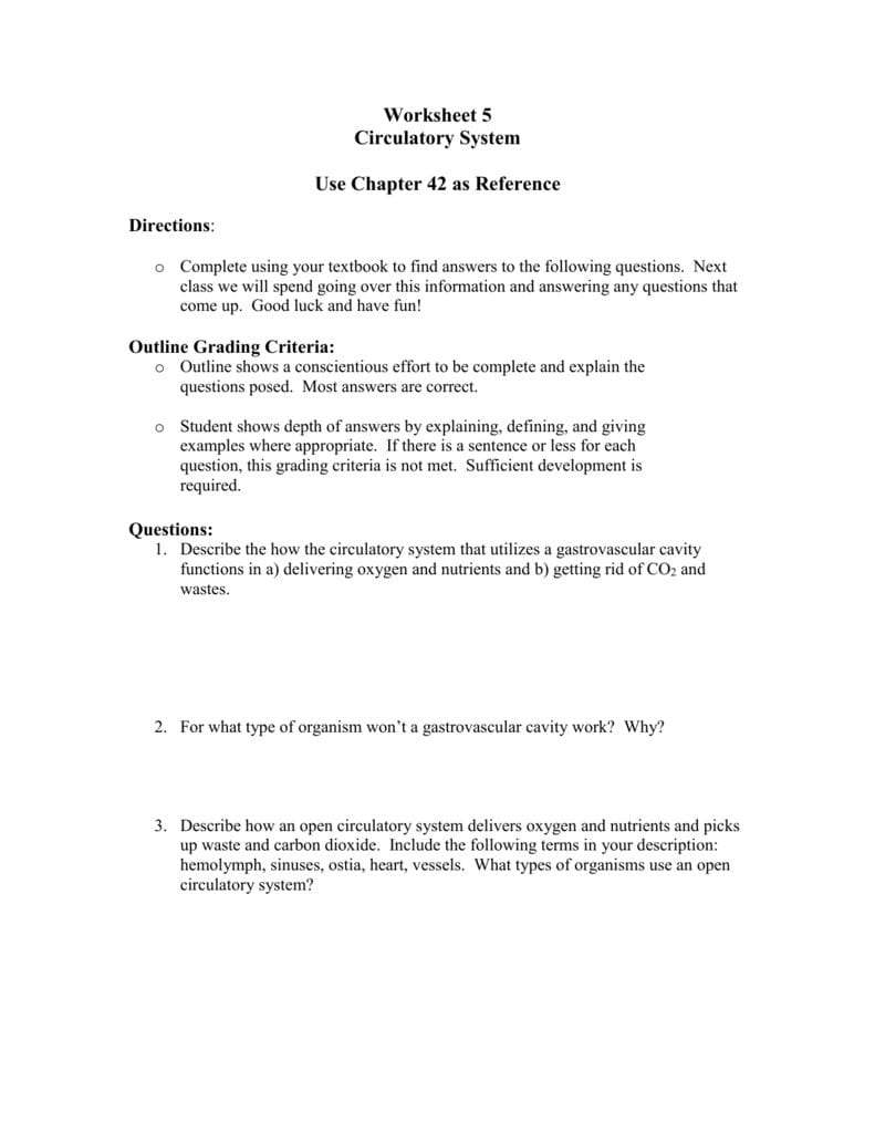 Worksheet Circulatory System Also Cardiovascular System Worksheet Answers