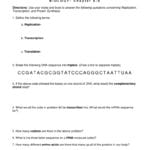 Worksheet Dna Rna And Protein Synthesis For Dna To Rna To Protein Worksheet