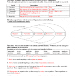 Worksheet Ecological Pyramids Worksheet Pyramid Essay Brief Note Intended For Ecology Review Worksheet 1