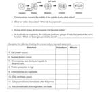 Worksheet Ecology Worksheet Printable Budget Sheets Teaching Posts In Dna Reading Comprehension Worksheet