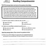 Worksheet Lesson Plan Sample In English Time Coin Necklace Big Along With 6Th Grade Reading Comprehension Worksheets Pdf