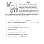 Worksheet Math Kids Fifth Grade Reading First Worksheets Pdf Idea Within 5Th Grade English Worksheets Pdf