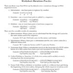 Worksheet Mutations Practice Answers Itemized Deductions Worksheet Inside Worksheet Mutations Practice Answers