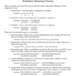 Worksheet Mutations Practice Regarding Worksheet Mutations Practice