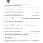 Worksheet On Dna And Rna With Dna To Rna To Protein Worksheet
