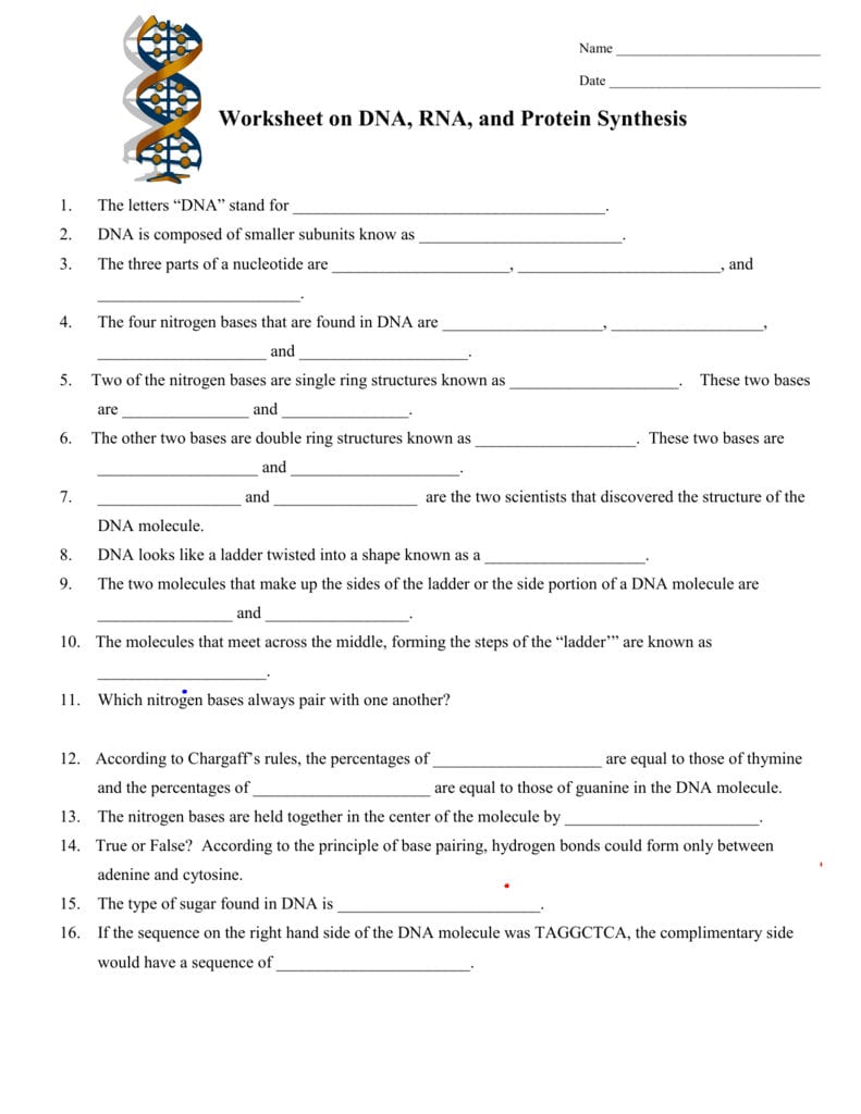 Worksheet On Dna And Rna With Dna To Rna To Protein Worksheet