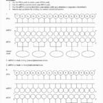 Worksheet Protein Synthesis Worksheet Answers Dna And Protein Pertaining To Dna Interactive Worksheet Answer Key