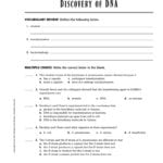 Worksheet Protein Synthesis Worksheet Answers Dna Rna And Protein With Worksheet On Dna Rna And Protein Synthesis Answer Key Quizlet