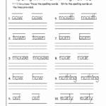 Worksheet Skeleton Anatomy Printable Notebook Paper Esl Adjectives Within 2Nd Grade Handwriting Worksheets