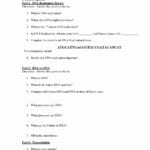 Worksheet Transcription And Translation Worksheet Answers Intended For Protein Synthesis Worksheet Pdf