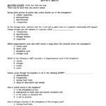 Worksheet Water Carbon And Nitrogen Cycle Pics Pictures Answers Throughout 3 3 Cycles Of Matter Worksheet Answers
