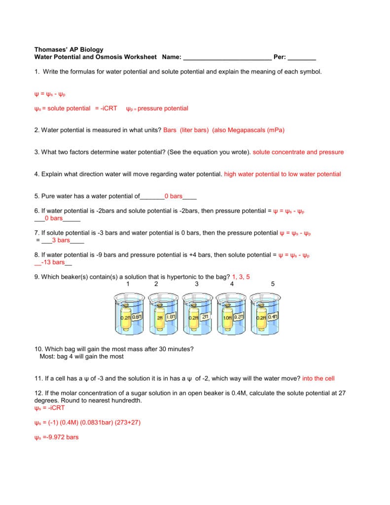 Ws Water Potential Ans 14152 Regarding Water Potential And Osmosis Worksheet Answers