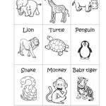 Zoo Animals  Big Or Small Worksheet  Free Esl Printable In Los Animales Printable Worksheets
