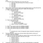 004 Tkam Essay Example To Kill Mockingbird Worksheet Answers Pertaining To To Kill A Mockingbird Worksheet Answers