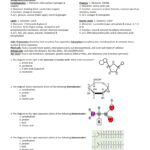 1 Biomoleculesteacher Key Along With Biomolecules Worksheet Answers