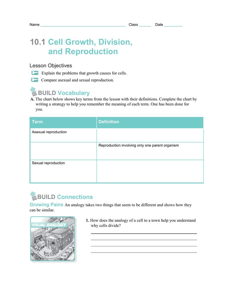 101 Cell Growth Division And Reproduction For Cell Growth And Reproduction Worksheet Answers