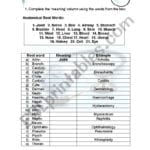 3 Medical Terminology  Root Words  Esl Worksheet With Regard To Root Words Worksheet