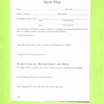 5 Birthing Plans Template Uutpy – Locksmithcovington Template Along With Birth Plan Worksheet Printable
