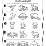 Animal Adaptations Worksheets  Briefencounters Along With Animal Adaptations Worksheets