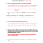 Assessment Questions Answer Key With Regard To Dna Model Activity Worksheet Answers