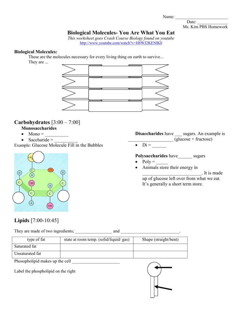Biological Molecules You Are What You Eat Homework Assignment Throughout Biomolecules Worksheet Answers