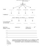 Box And Whisker Plot Worksheet 1  Briefencounters Throughout Box And Whisker Plot Worksheet 1