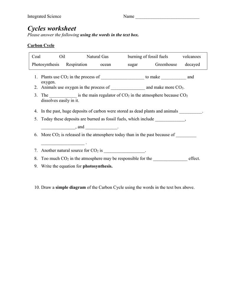 Carbon Cycle Pertaining To Integrated Science Cycles Worksheet Answer Key