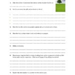 Carbon Cycle Questions Worksheet Pdf  Teachit Science Regarding Carbon Cycle Worksheet Answer Key