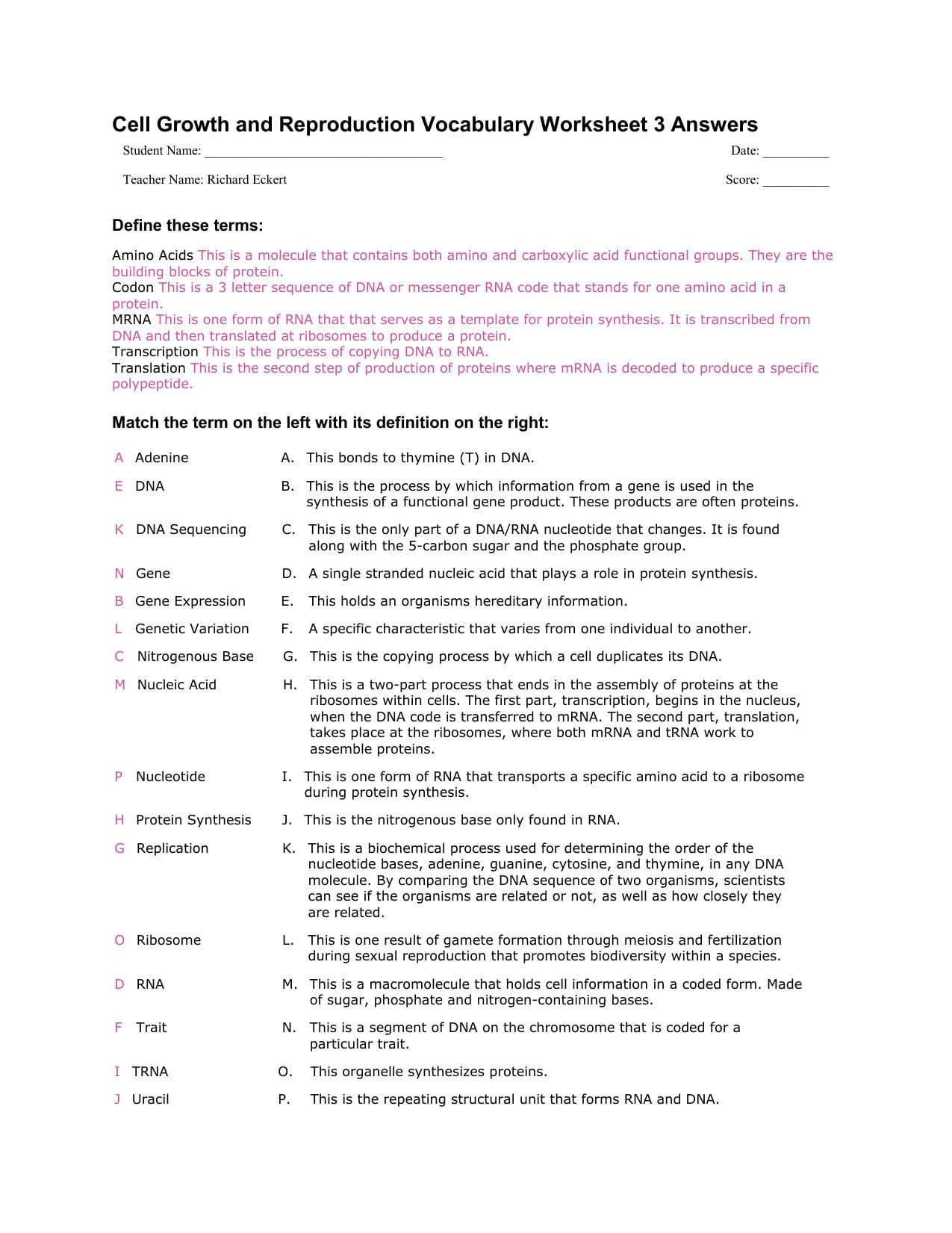 Cell Growth And Reproduction Vocabulary Worksheet 3 Regarding Cell Growth And Reproduction Worksheet Answers