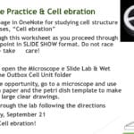 Cell Structures And Processes  Ppt Video Online Download Regarding Cell Structure And Processes Worksheet