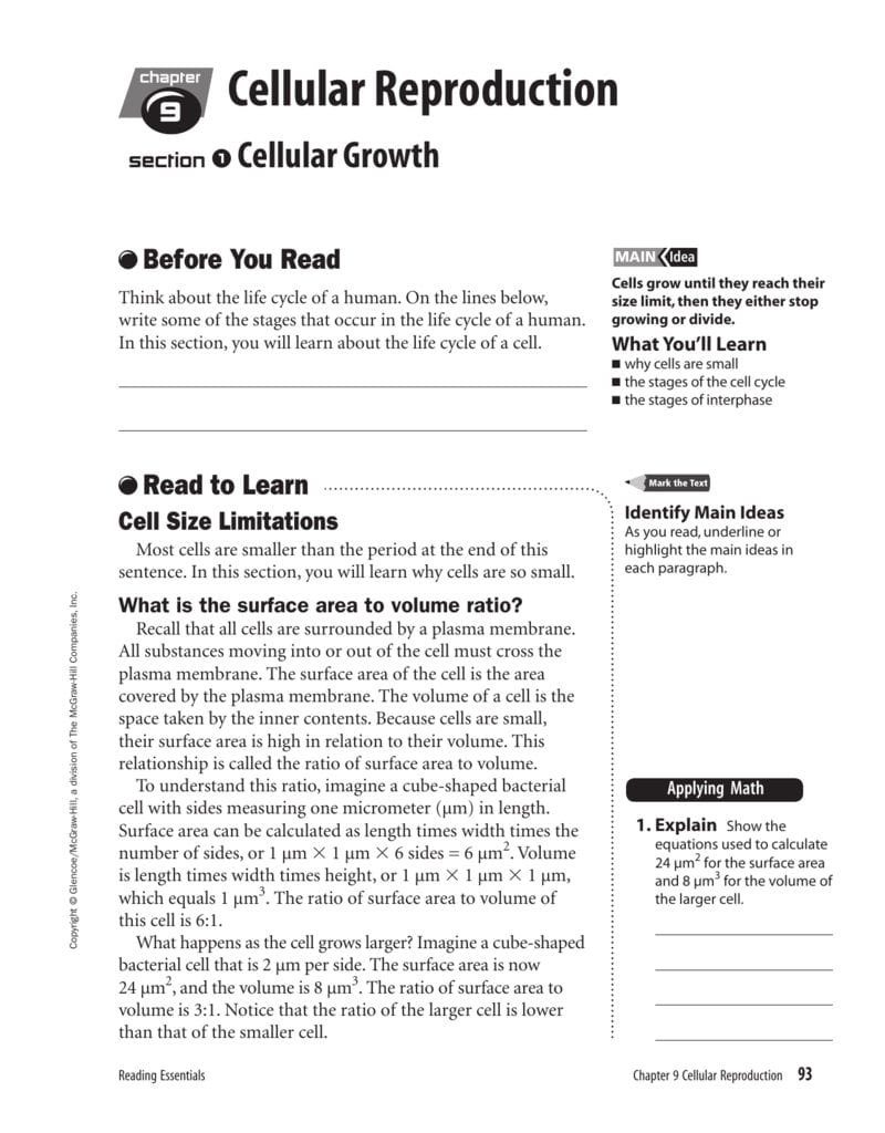 Cellular Reproduction With Regard To Cell Growth And Reproduction Worksheet Answers