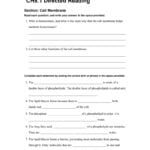 Ch81 Directed Reading Section Cell Membrane Pertaining To Holt Biology Cells And Their Environment Skills Worksheet Answers