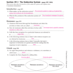Chapter 39 Endocrine And Reproductive Systems Te Within Human Endocrine Hormones Worksheet Key