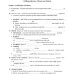 Chapter 4 Cell Reproduction And Cell Growth And Reproduction Worksheet Answers