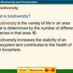 Chapter 5 Biodiversity And Conservation  Ppt Download In Biological Diversity And Conservation Chapter 5 Worksheet Answers