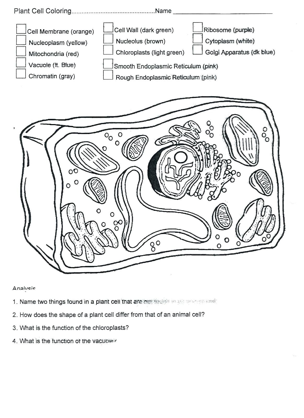 Coloring  Animal Cell Coloring Sheet Answer Key In Plant Also Plant Cell Worksheet Answers