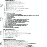 Cycles Worksheet Answers Water Carbon And Nitrogen Cycle Regarding Carbon Cycle Worksheet Answer Key