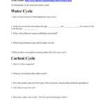 Cycles Worksheet Together With Water Carbon And Nitrogen Cycle Worksheet Answer Key
